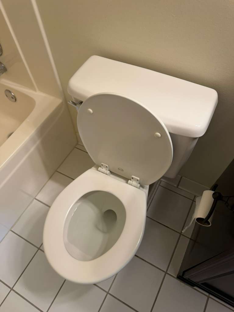 Before and After - Bathroom Cleaning